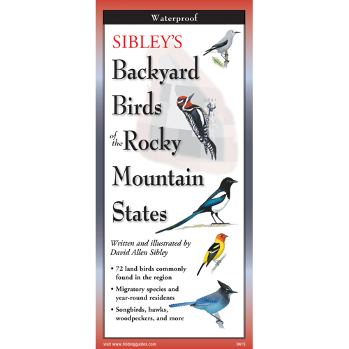 Sibley's Backyard Birds of Rocky Mountain States