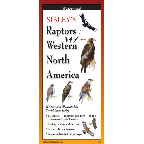 Sibley's Raptors of Western N. America