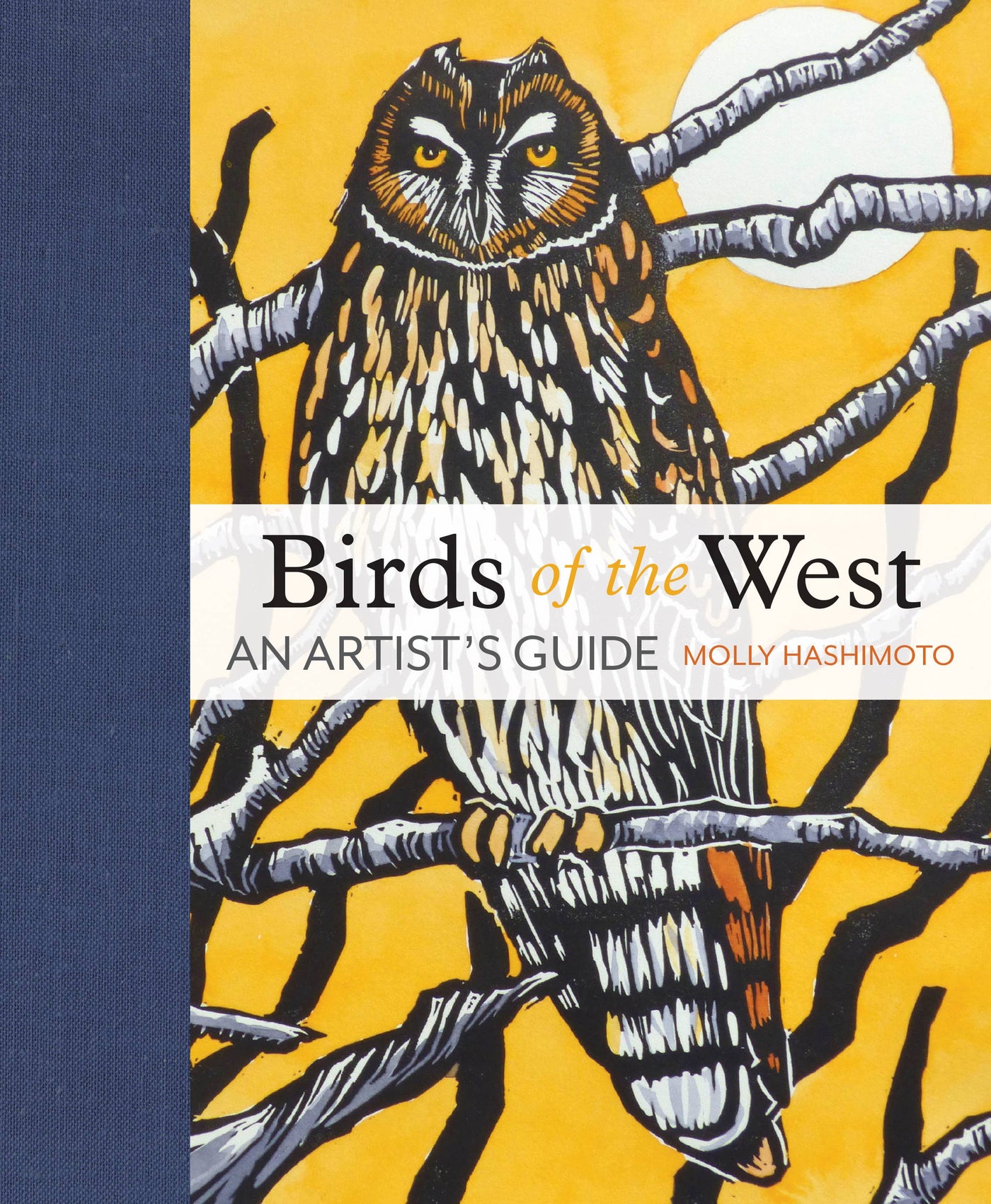 Birds of the West An Artist's Guide