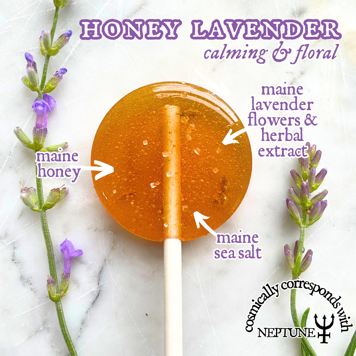 Plants & Planets Lollipops - Cosmic Candy Apothecary: Honey Lavender