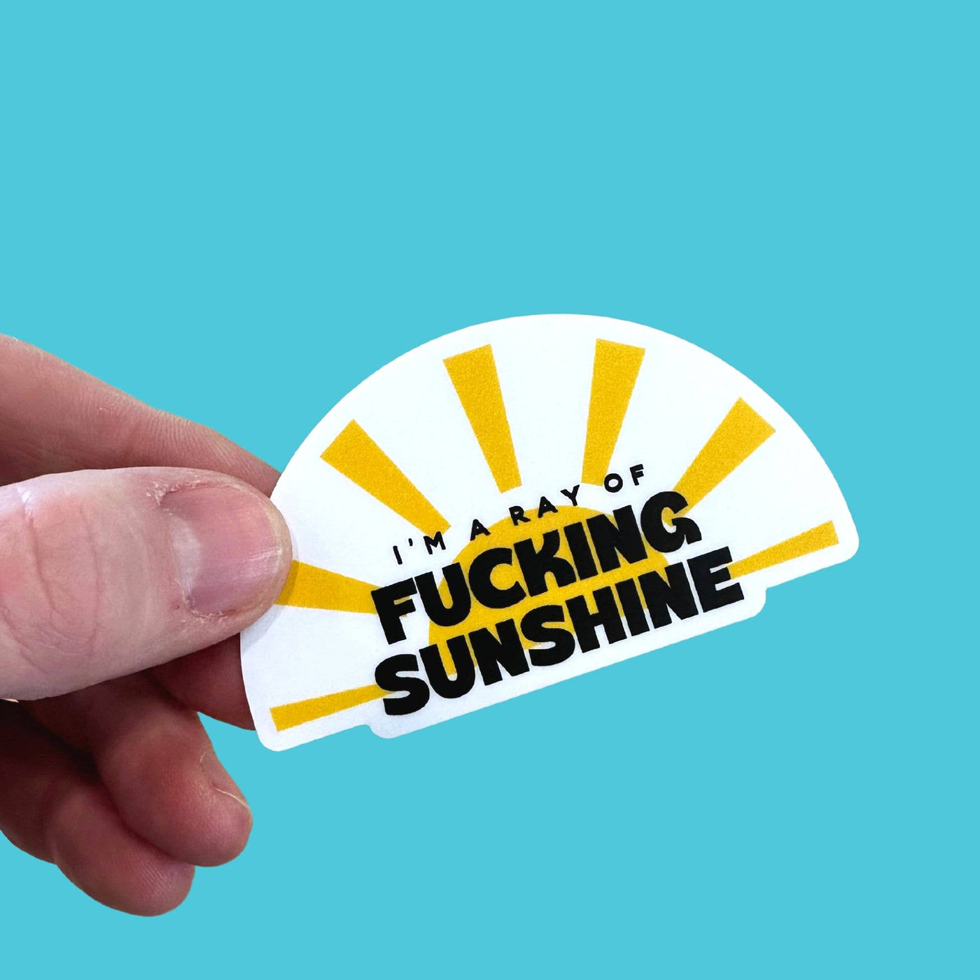 I'm a Ray of Fucking Sunshine - Sassy Vinyl Sticker