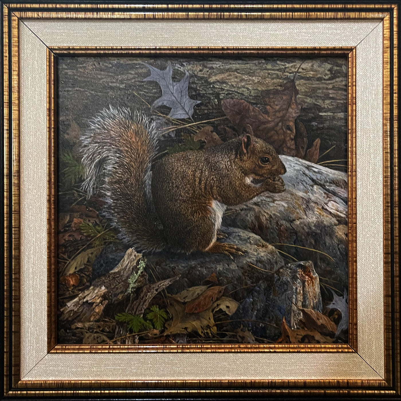 "Lunch Break" Grey Squirrel Oil Painting by Mann